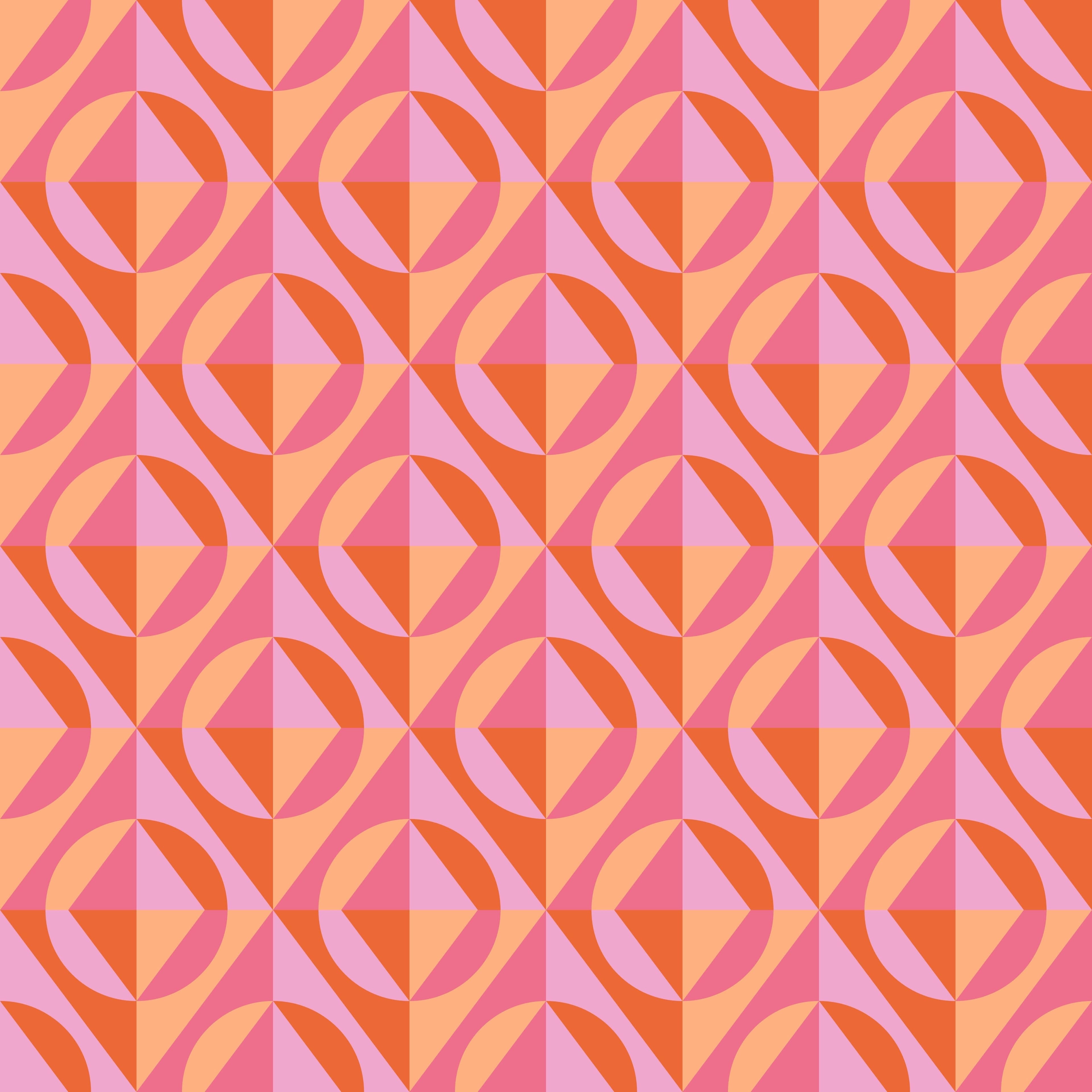 flamingos with a colorful circular pattern